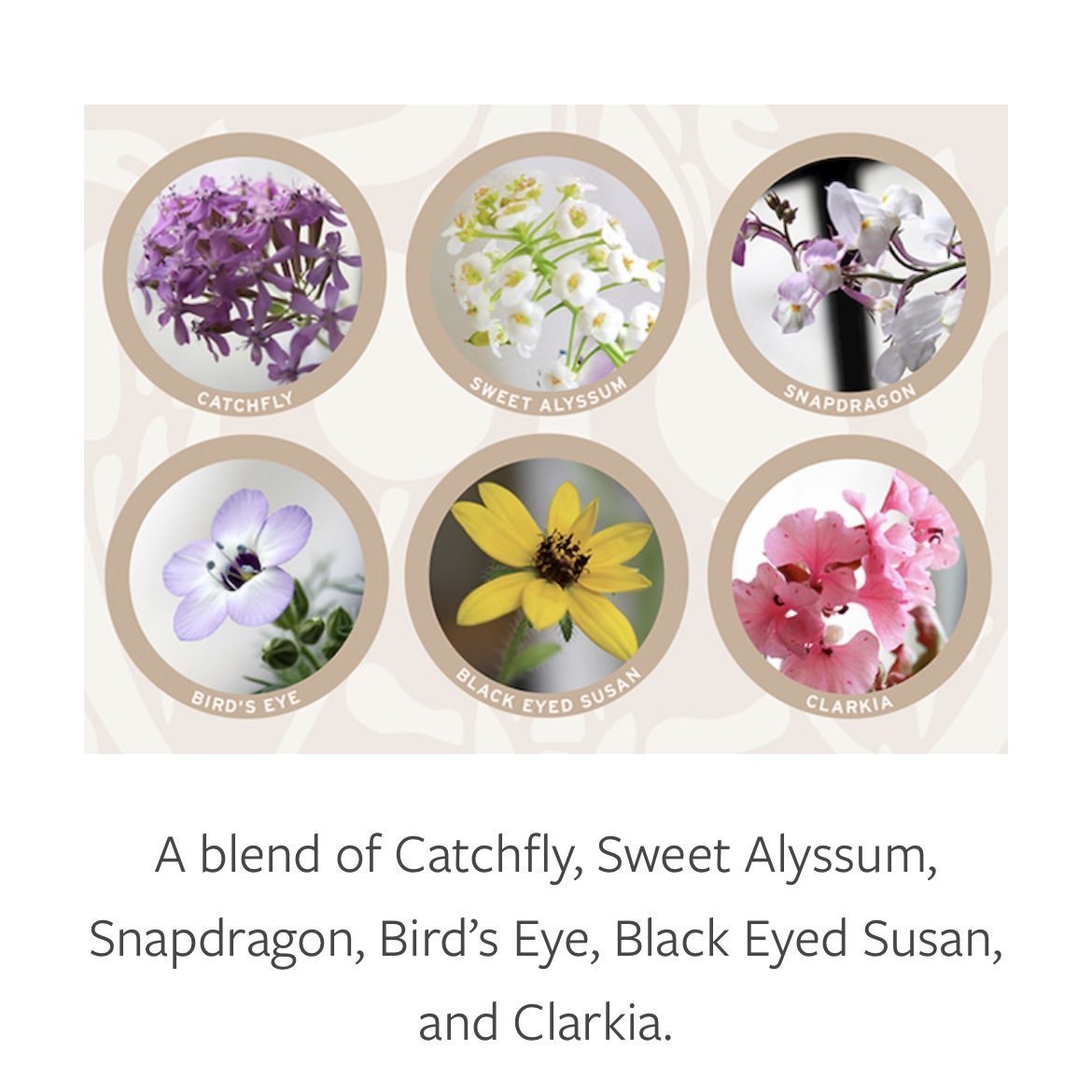 Be Merry & Bring Booze Plantable Greeting Card
