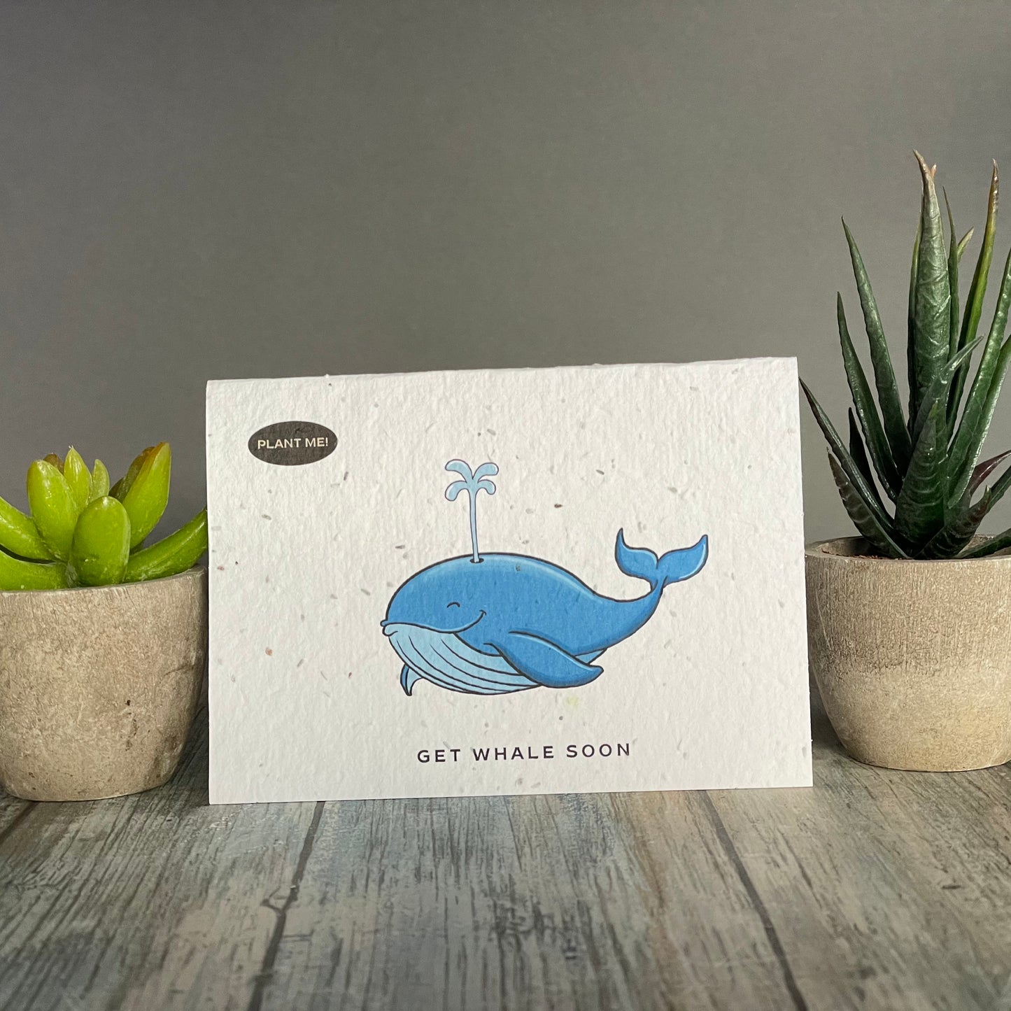 Get Whale Soon Plantable Greeting Card