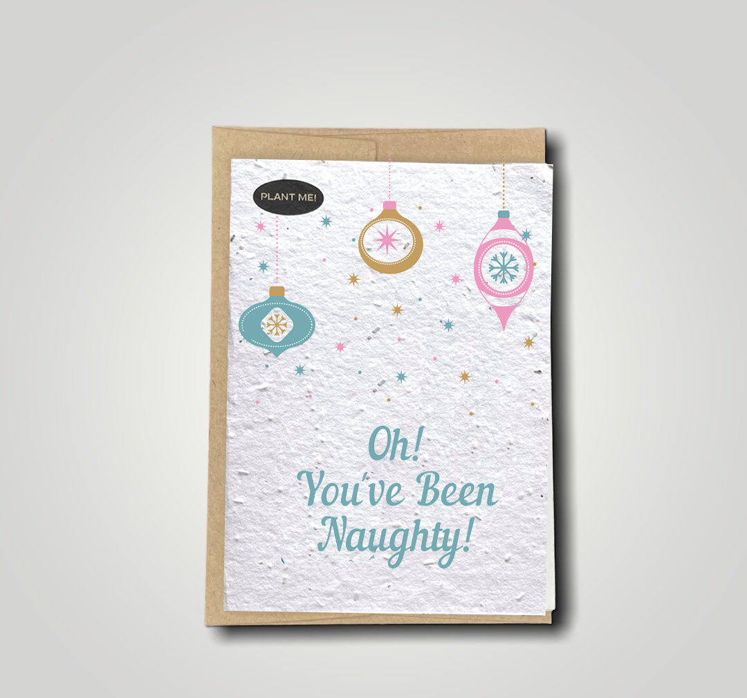 Oh, You've Been Naughty Christmas Plantable Greeting Card