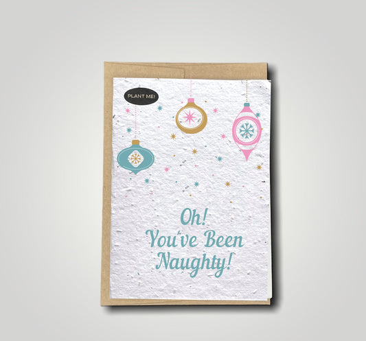 Oh, You've Been Naughty Christmas Plantable Greeting Card