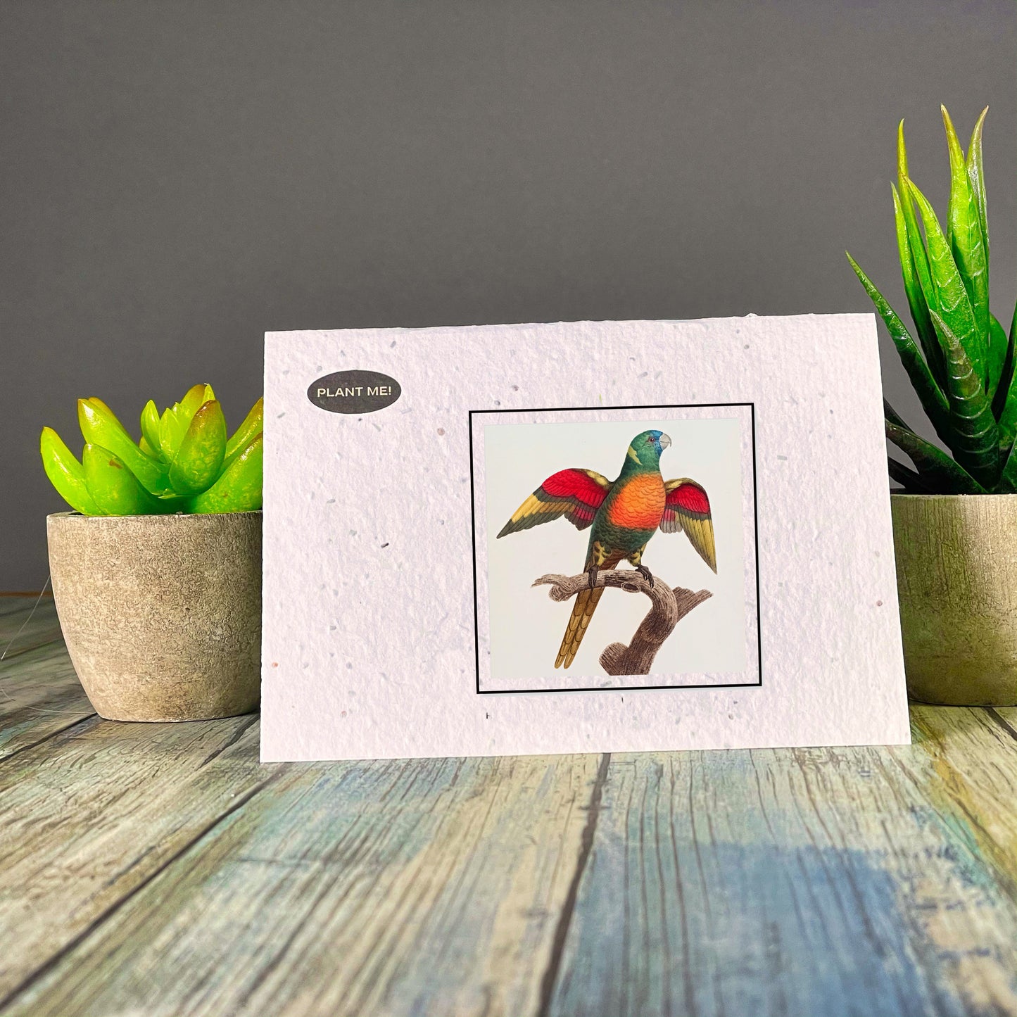 Parrot Plantable Greeting Card