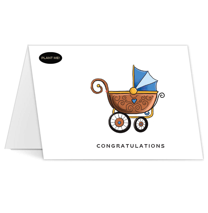 It's a Boy Plantable Greeting Card